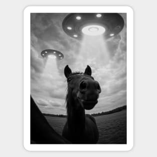 Funny Horse Selfie with UFOs on a Farm Sticker